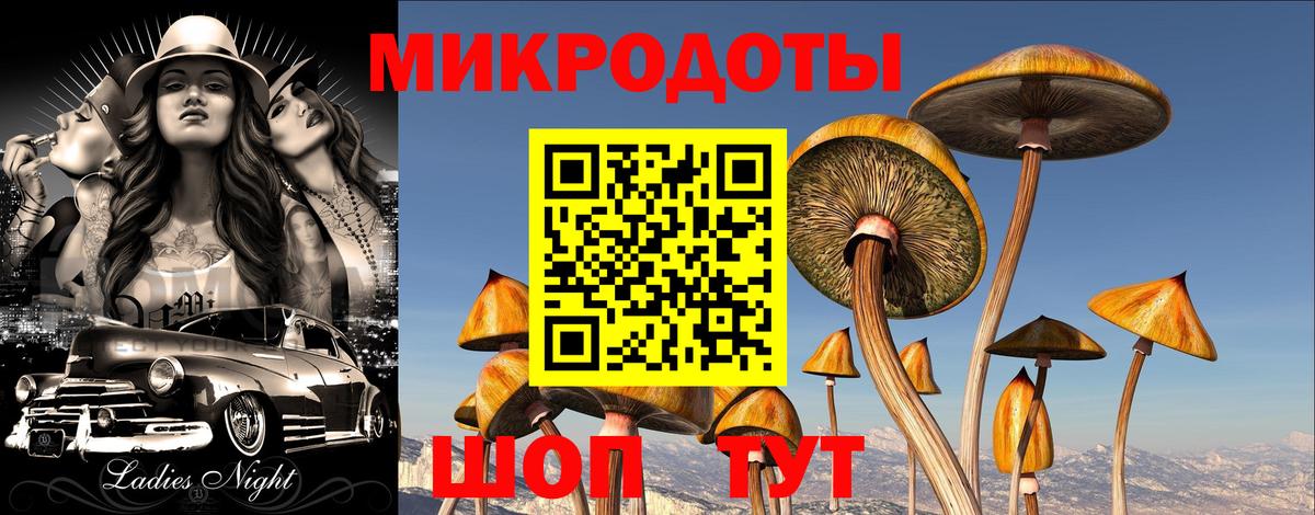 Псилоцибиновые грибы Magic Shrooms Гай