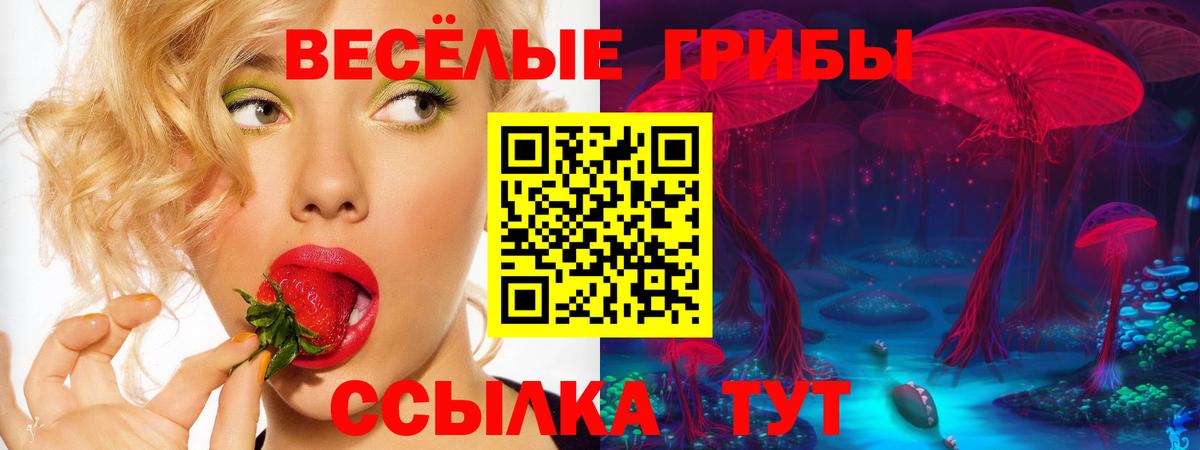 Гай  Псилоцибиновые грибы ЛСД  Вход с VPN 